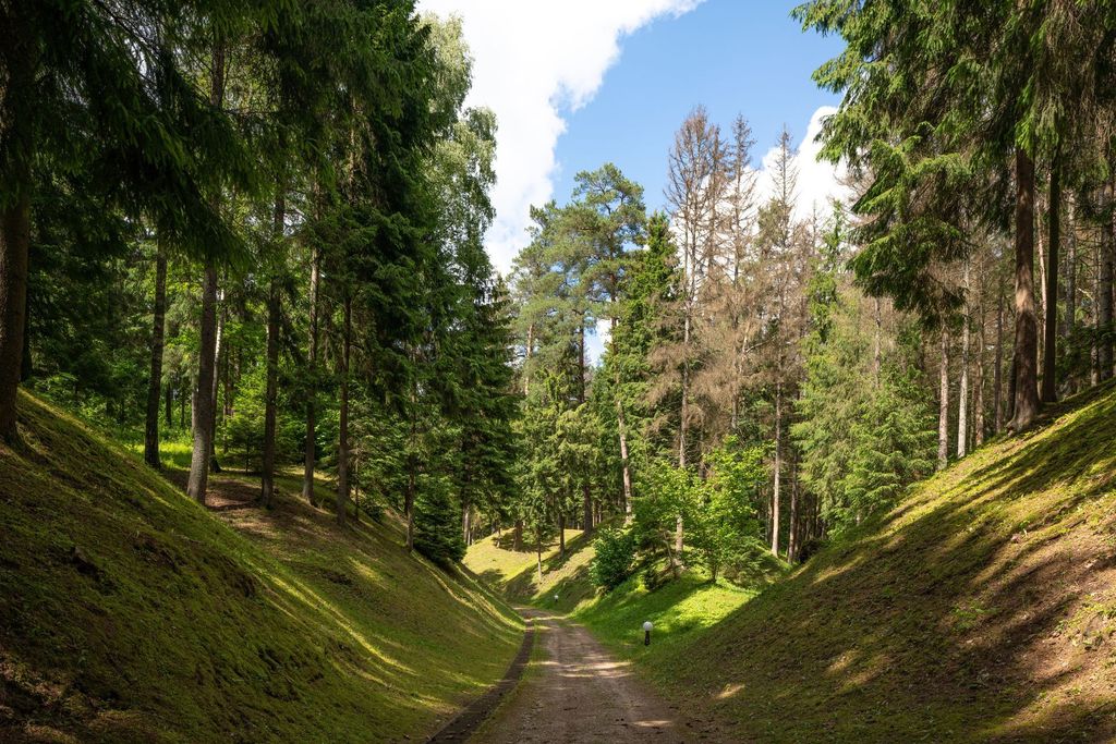 Impressive nature experiences at Esperanza Lake Resort with forest and lake scenery.